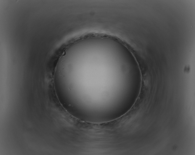 X0000093581495200710221453
