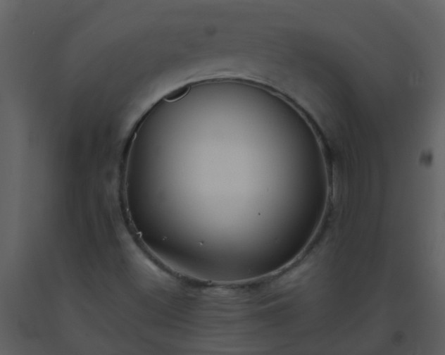 X0000093581500200710221453