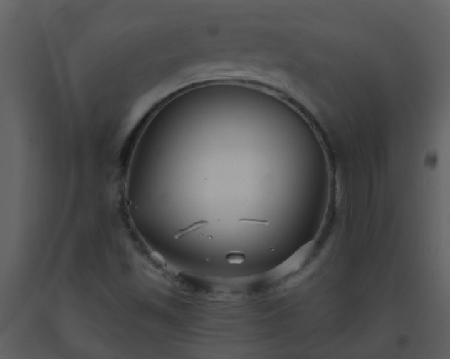 X0000093581501200710221453