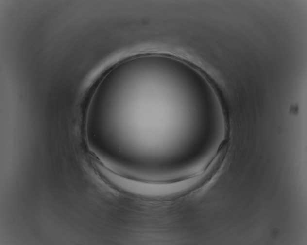 X0000093581502200710221453