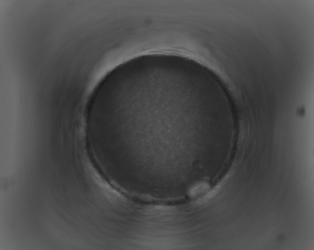 X0000093581506200710221453