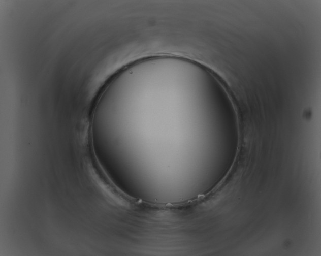 X0000093581507200710221453