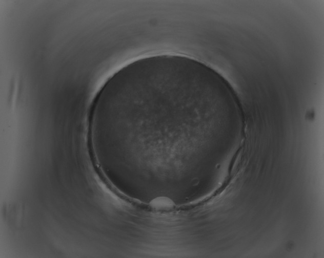 X0000093581508200710221453