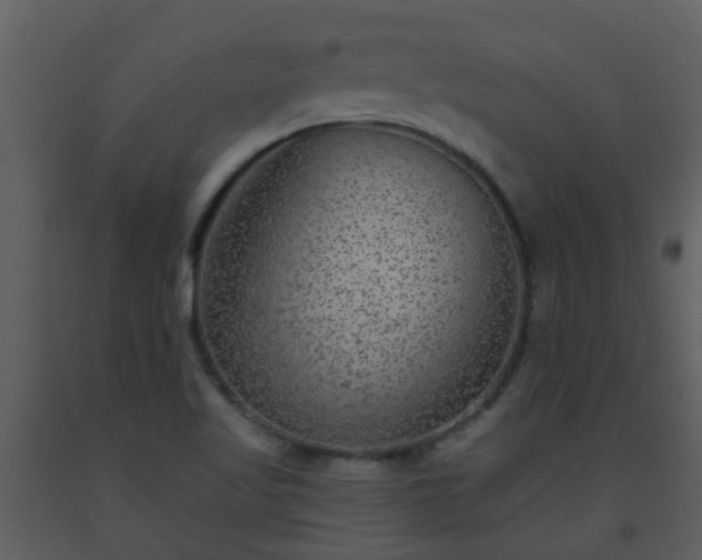 X0000093581509200710221453