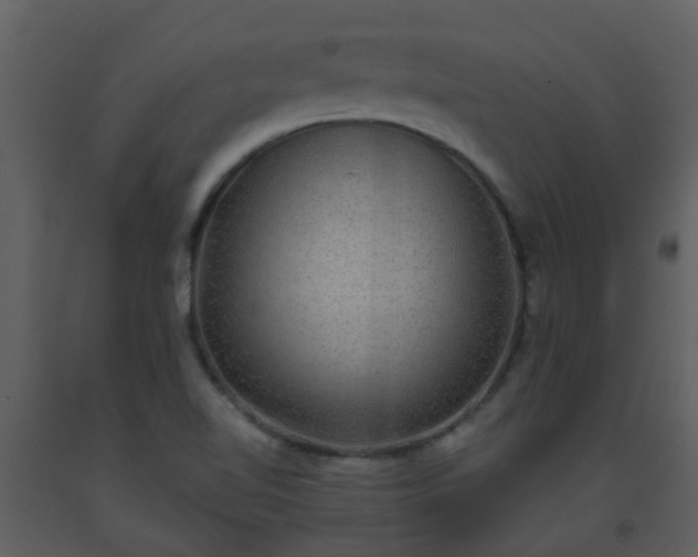 X0000093581510200710221453