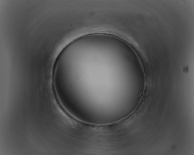X0000093581512200710221453