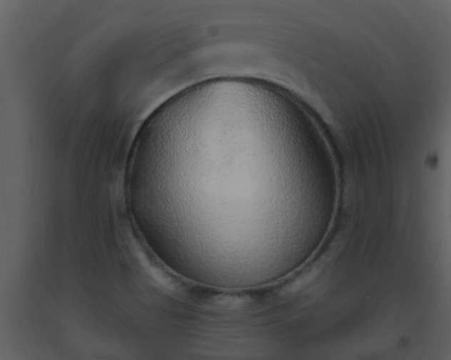 X0000093581513200710221453