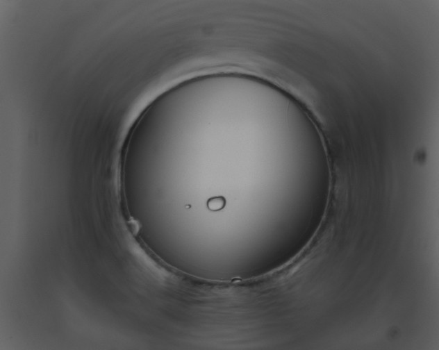 X0000093581516200710221453