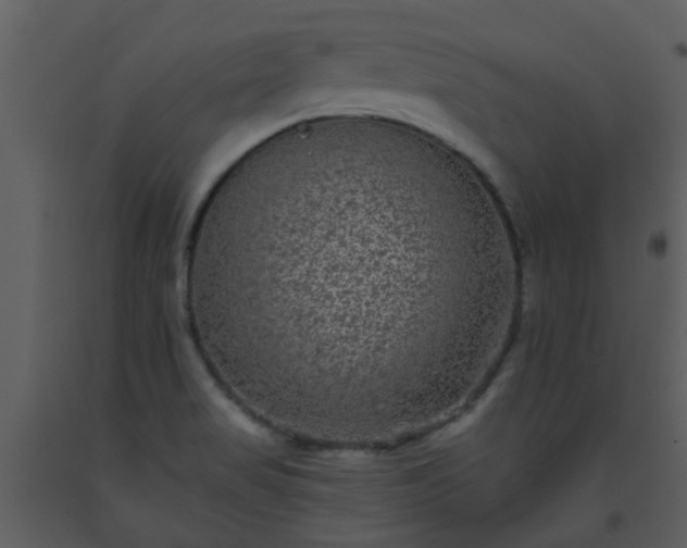 X0000093581517200710221453