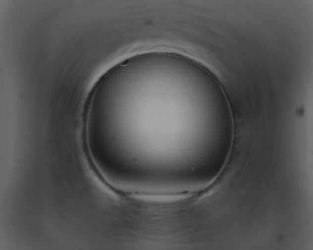 X0000093581518200710221453