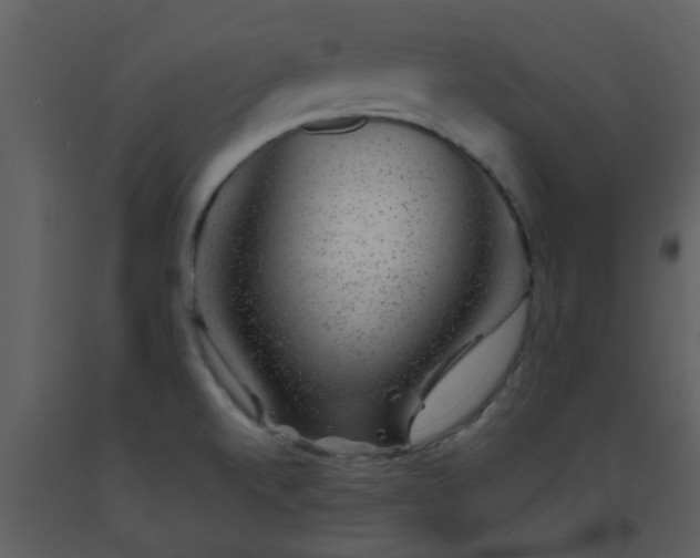 X0000093581520200710221453