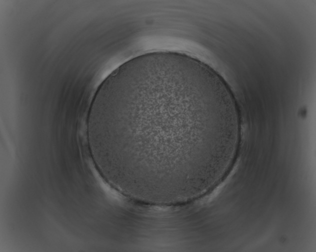 X0000093581521200710221453