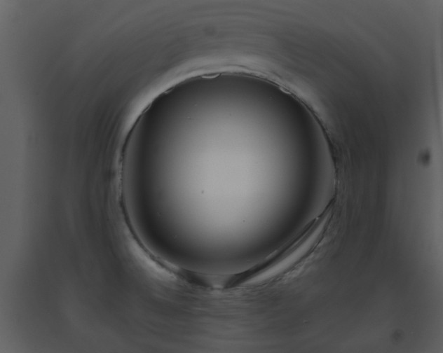 X0000093581524200710221453