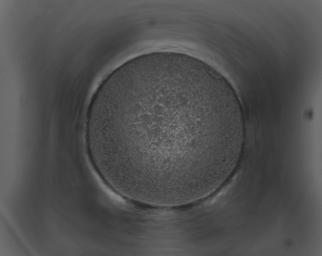 X0000093581525200710221453