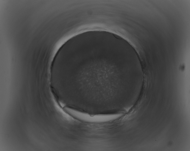 X0000093581527200710221453