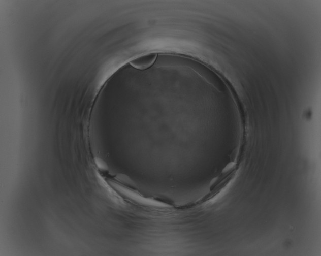 X0000093581529200710221453