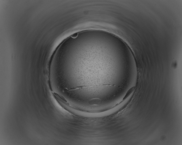 X0000093581531200710221453