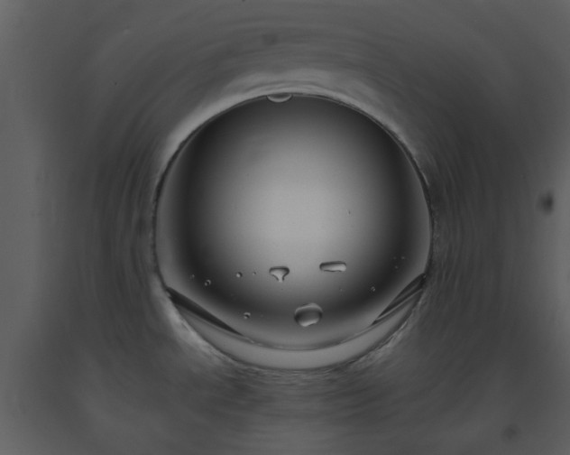 X0000093581534200710221453