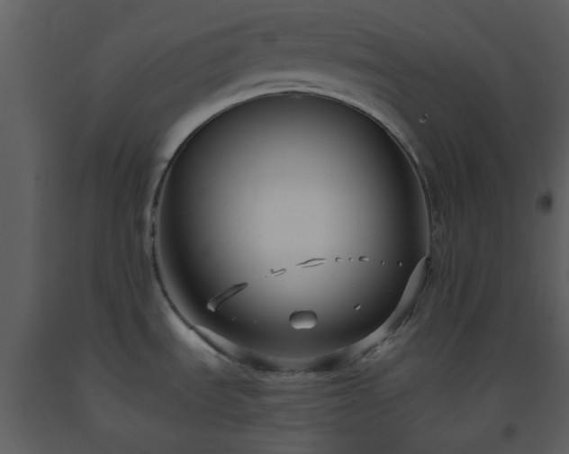 X0000093581535200710221453