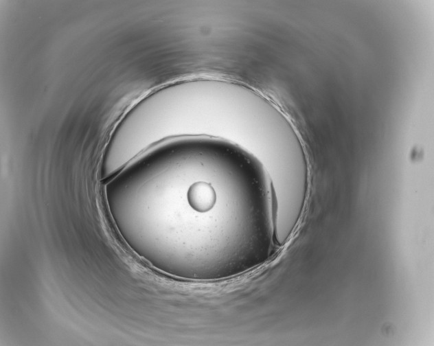 X0000093580001200710291111