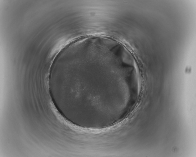 X0000093580002200710291111