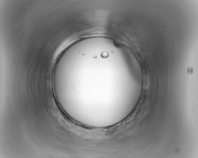 X0000093580004200710291111