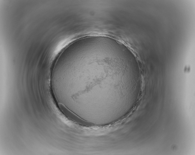 X0000093580005200710291111