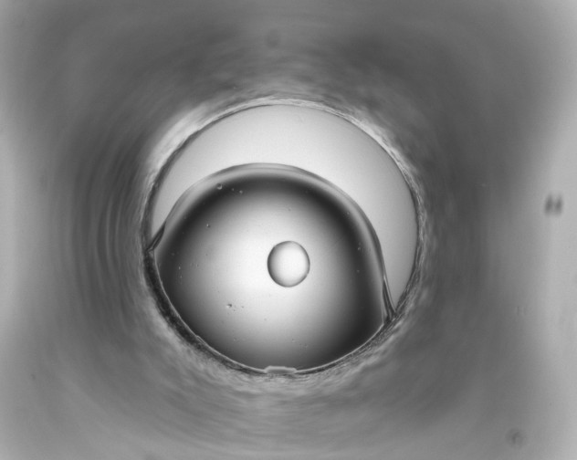 X0000093580007200710291111