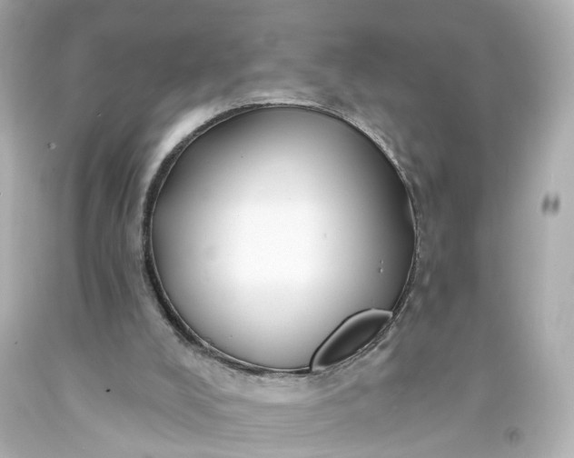 X0000093580008200710291111