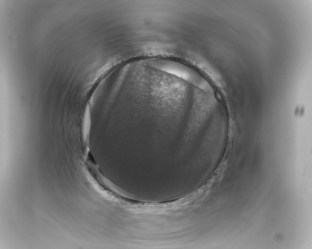 X0000093580009200710291111