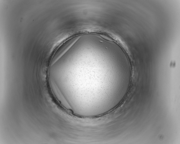 X0000093580010200710291111