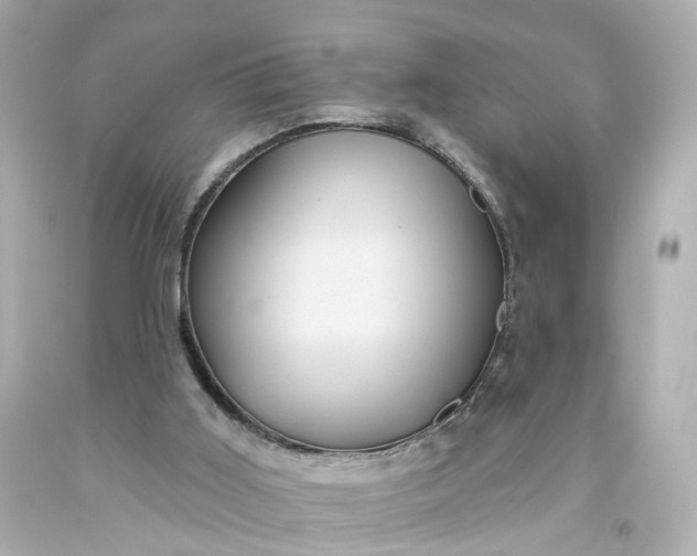 X0000093580011200710291111