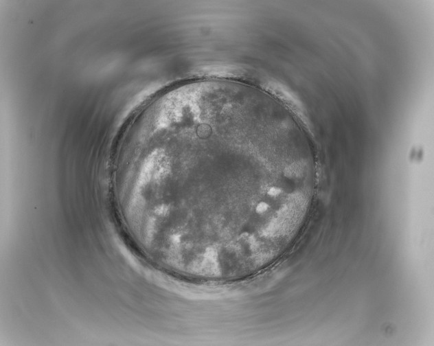 X0000093580012200710291111