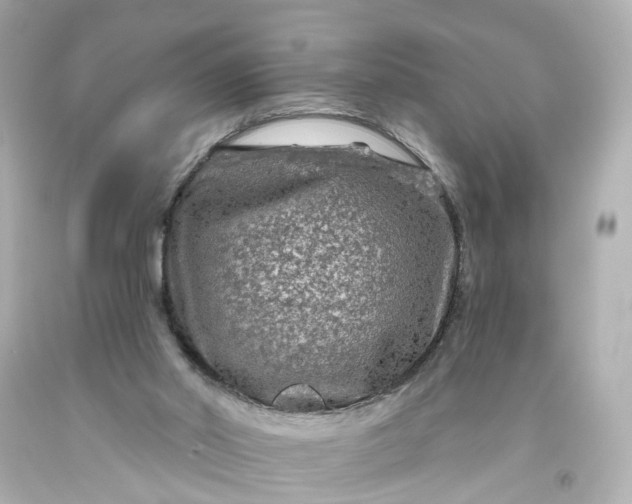 X0000093580014200710291111