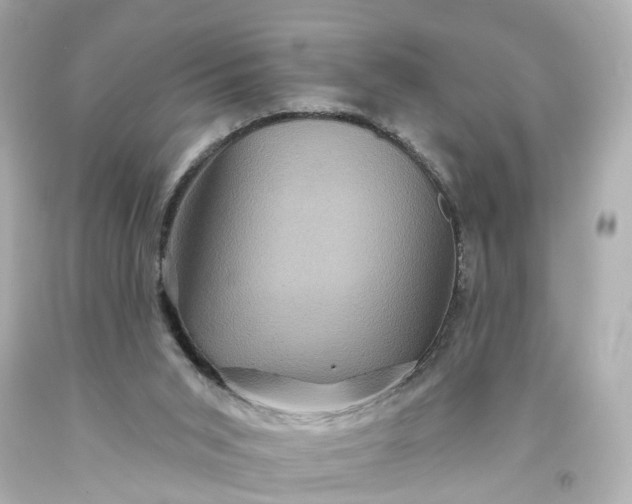 X0000093580015200710291111