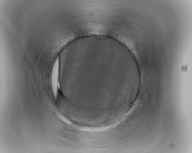 X0000093580017200710291111