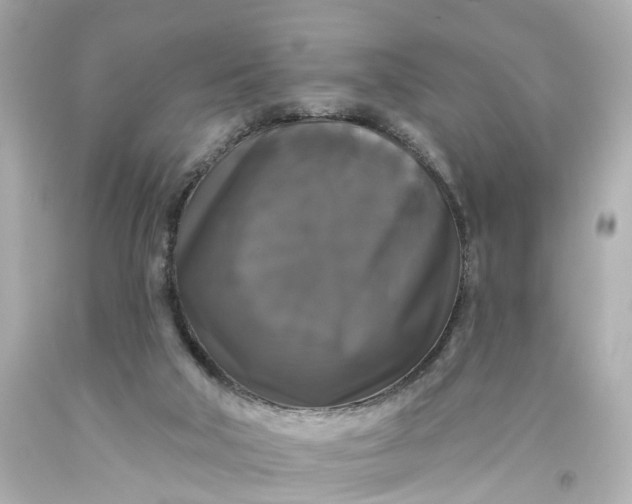 X0000093580018200710291111