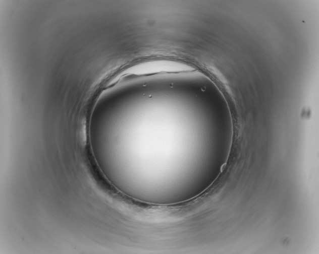 X0000093580020200710291111