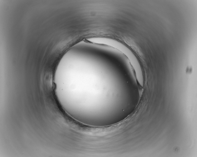 X0000093580021200710291111