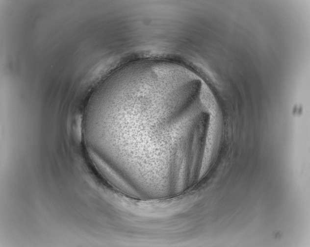 X0000093580022200710291111