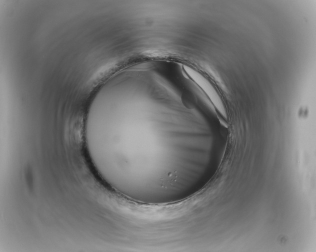 X0000093580023200710291111