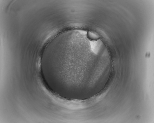 X0000093580024200710291111