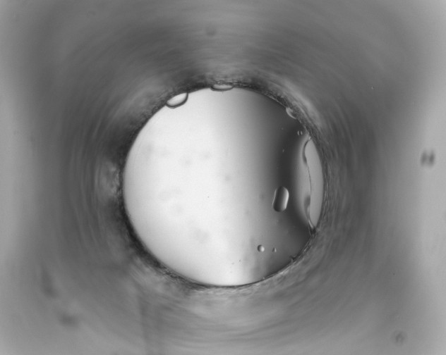 X0000093580025200710291111