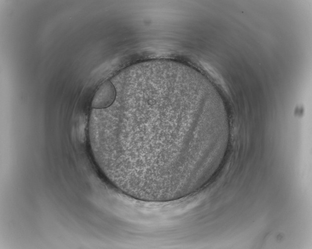 X0000093580026200710291111