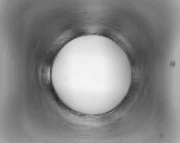 X0000093580028200710291111