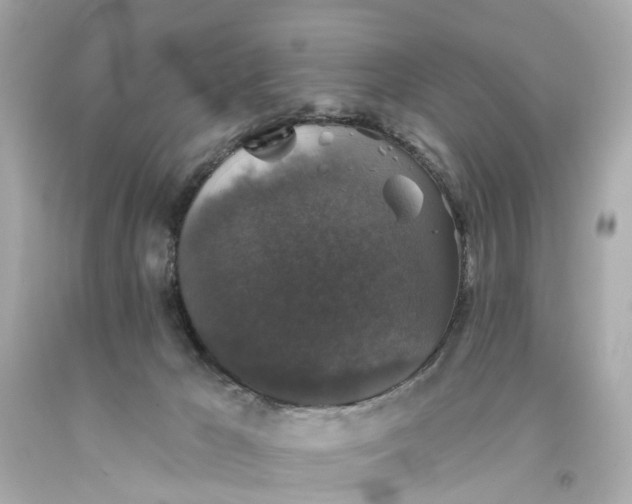 X0000093580029200710291111