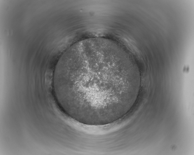 X0000093580030200710291111