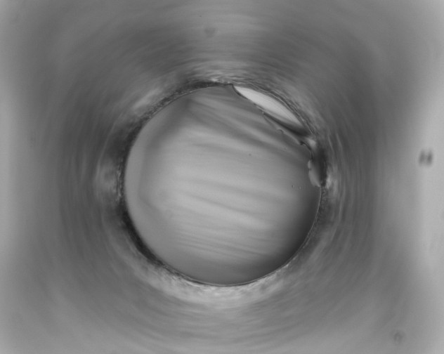 X0000093580031200710291111