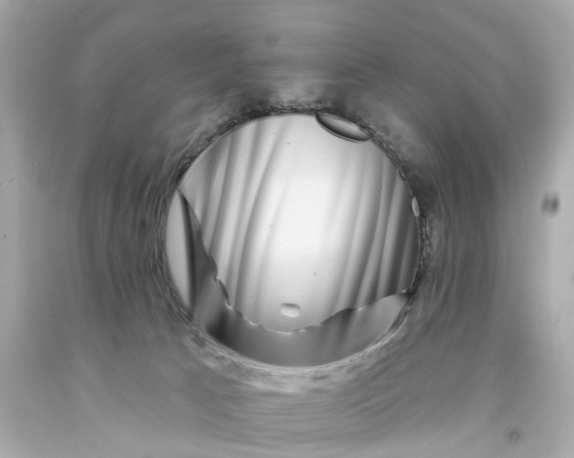 X0000093580033200710291110