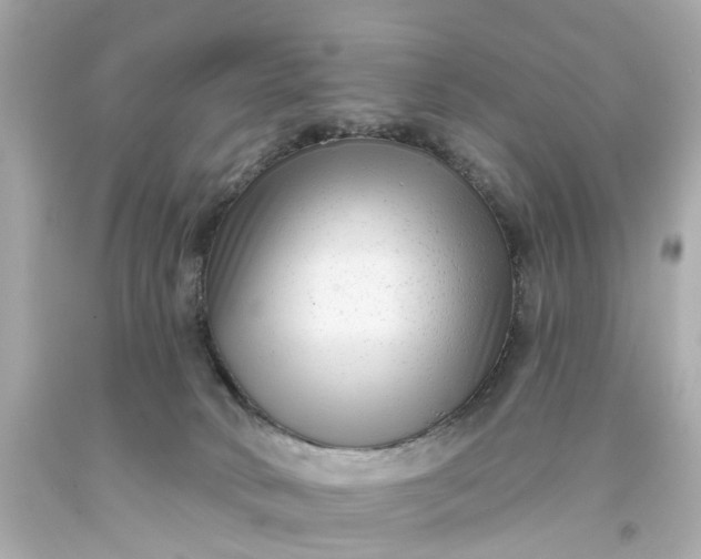 X0000093580034200710291110